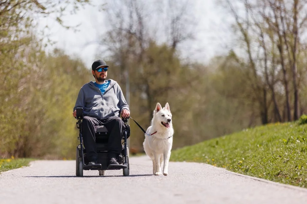 Zpět ve hře: Elektrická vozítka vám navrátí svobodu pohybu