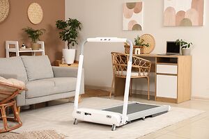 Jaký rotoped je nejlepší pro seniory?