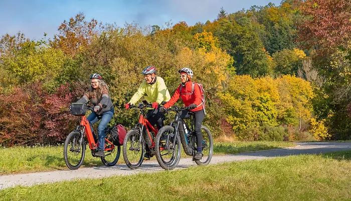 Elektrokolo pro seniory: Co skutečně rozhoduje o komfortu a bezpečí?