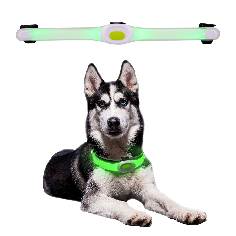 Dog Collar LED Light Petsaber Maxi inSPORTline