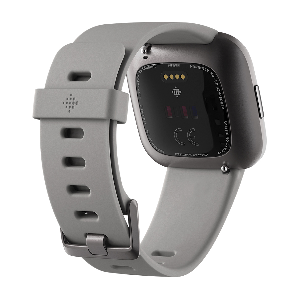 Inteligentné hodinky Fitbit Versa 2 Stone/Mist Grey