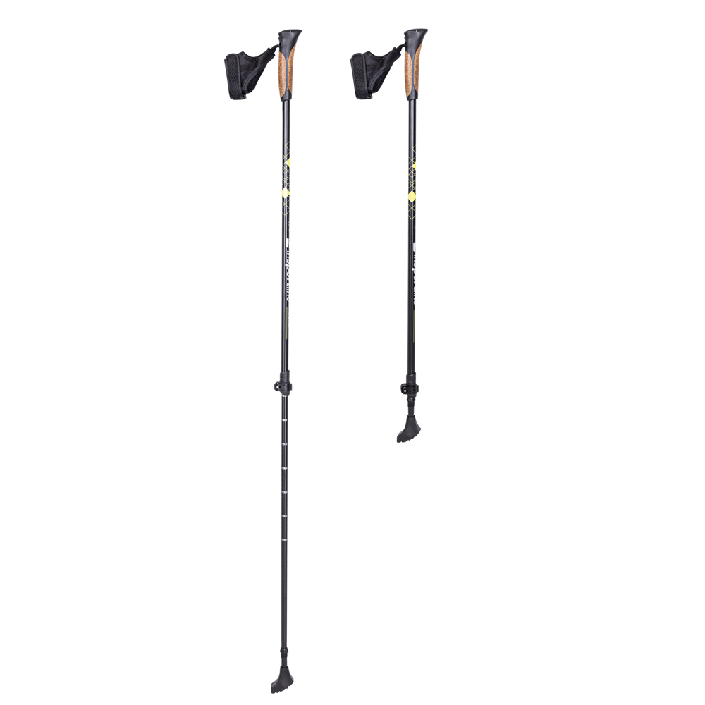 https://www.insportline.cz/p208594/Nordic-walking-palice-inSPORTline-Hallti.jpg
