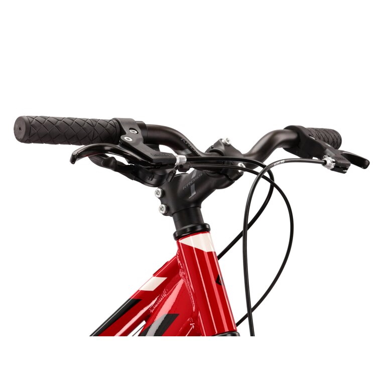 Juniorský bicykel Kross Hexagon JR 1.0 24" - model 2022