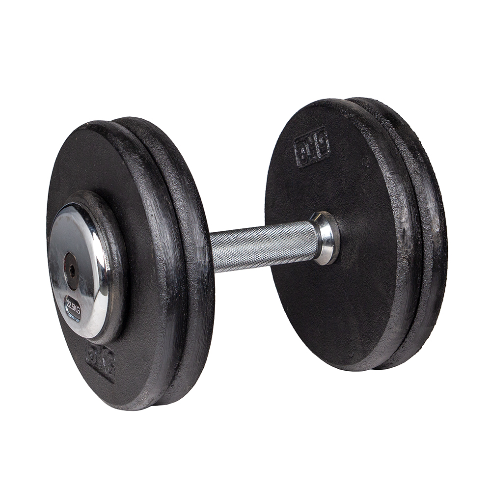 22.5 kg dumbbells for sale 2025