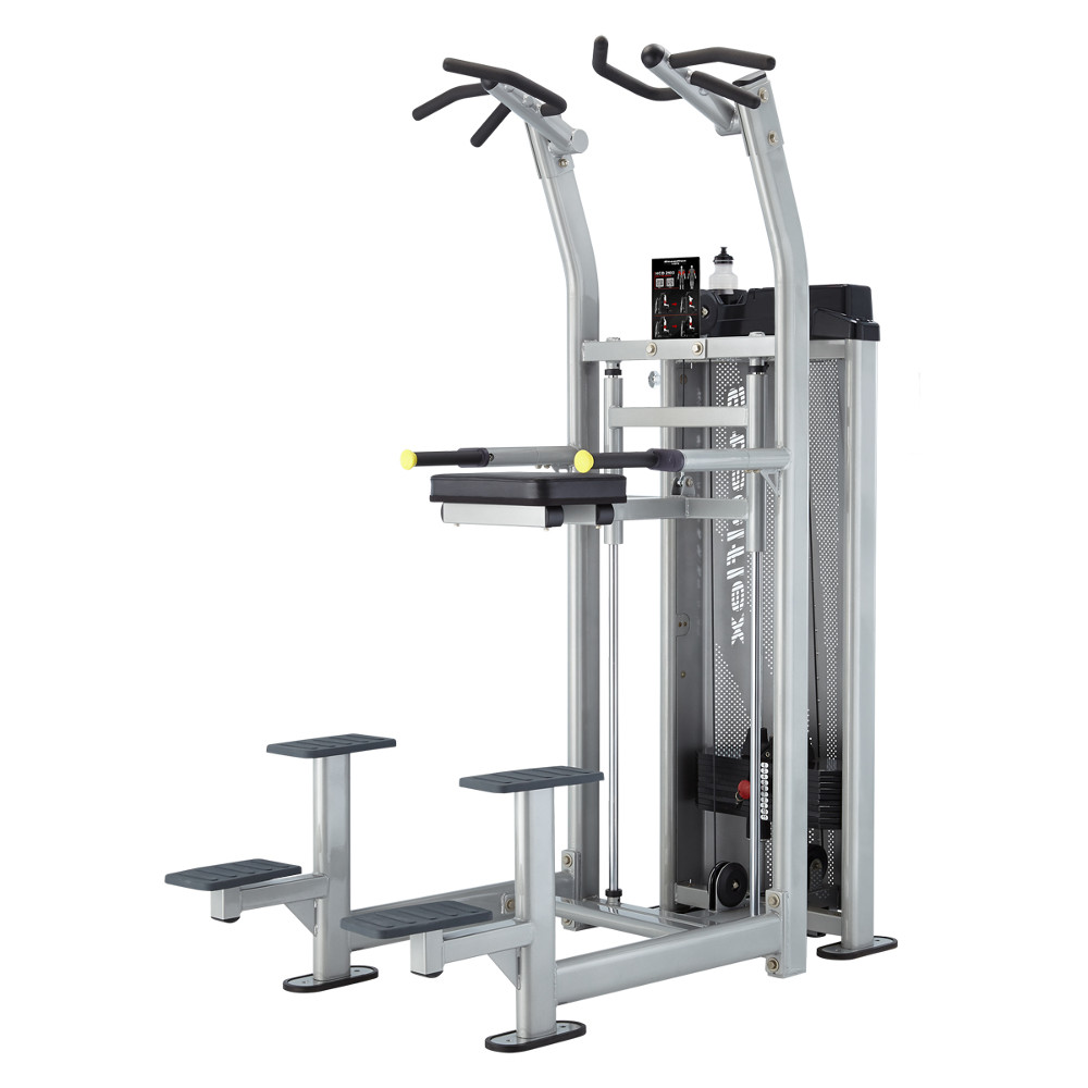 Cybex assisted chin up dip machine online