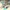 AKCE 4/2024