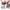 Stunt-days-2022-1400-500.jpg