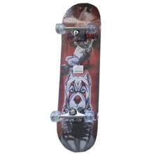 Skateboard pro dítě Spartan Super Board