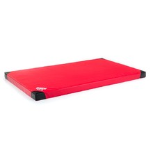 Protiskluzová gymnastická žíněnka inSPORTline Anskida T60 200x120x10 cm - červená