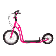 Roller inSPORTline Milester 16/12