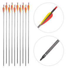 Carbon Arrows w/ Screw-In Tips inSPORTline Carbison 30” – 10 Pcs.