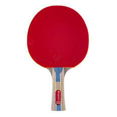 Table Tennis Paddle inSPORTline Shootfair S6