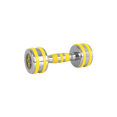 Chrome Dumbbell inSPORTline Yellsteel 5 kg