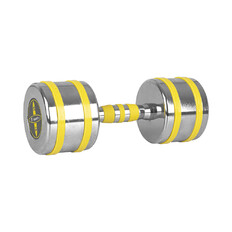 Chrome Dumbbell inSPORTline Yellsteel 14 kg