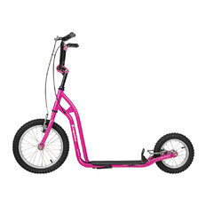 Koloběžka inSPORTline Milester 16/12