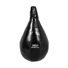 Boxkörte SportKO GP4