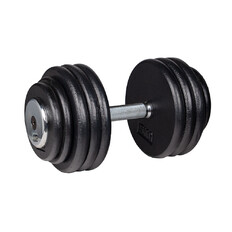 Single-Handed Dumbbell inSPORTline ProfiST 40 kg