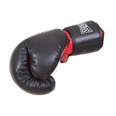 Boxovací rukavice Shindo Sport Boxerské rukavice Shindo Sport