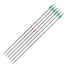Šípy Carbon 30/90 6 ks