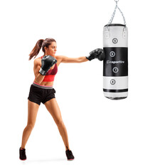 Punching Bag inSPORTline Robkin 90 x 35 cm