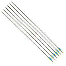 Kohlepfeile Disport Mixx 32/1100 6 Stück