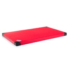 Anti-Slip Gymnastics Mat inSPORTline Anskida T60