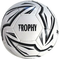 Fotbalový míč - SPARTAN Trophy vel. 4