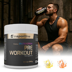 Doplněk stravy inSPORTline Pre Workout 240g