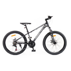 Juniorské kolo Canull XC 241 24