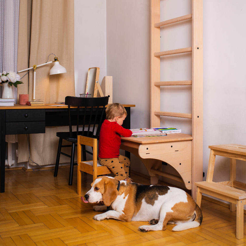 Žebřiny s příslušenstvím BenchK 112 220x64 cm - Obrázek 4