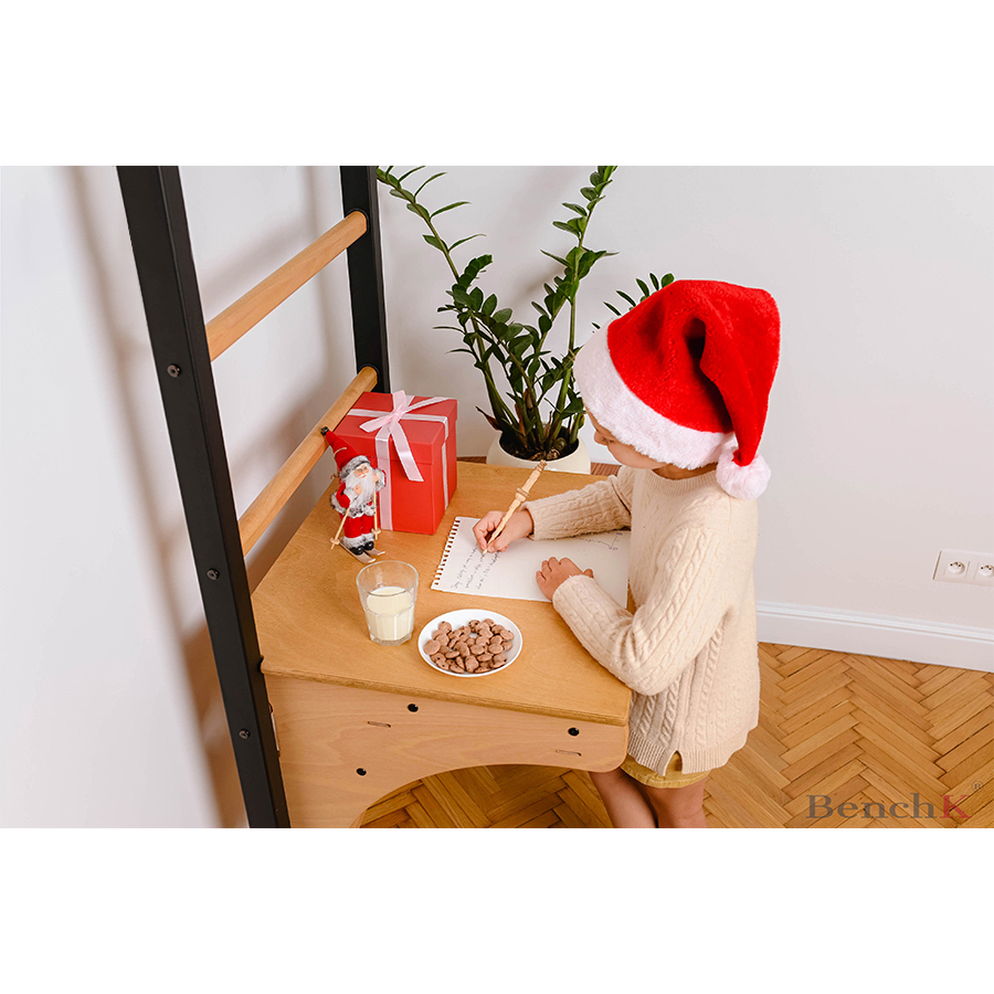 Žebřiny s příslušenstvím BenchK 212B+A076 - Obrázek 3