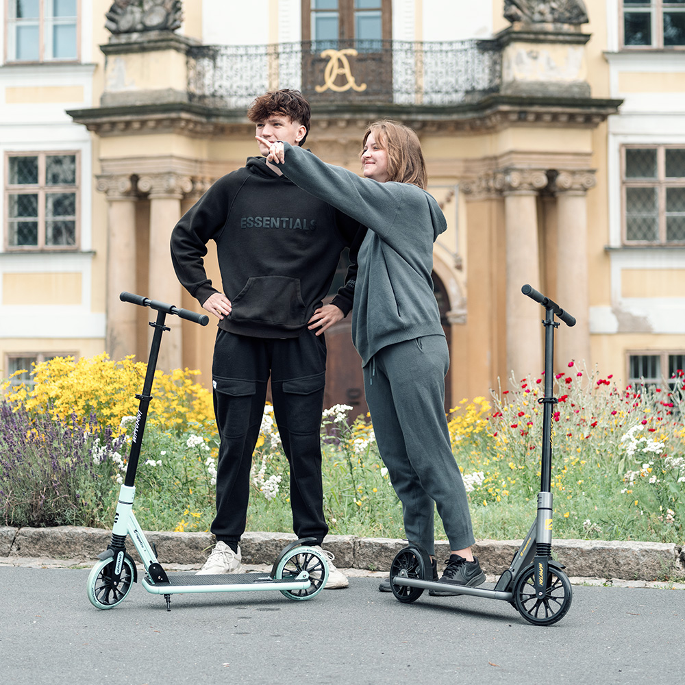 Skládací koloběžka inSPORTline Wayotan - Obrázek 5