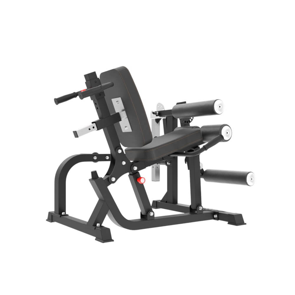 Posilovací stroj inSPORTline X-NT LE20 Leg Extension/Curl (obrázek 3)