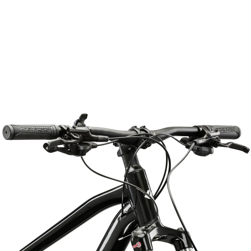 Horské kolo Kross Hexagon 5.0 29" Gen 008 M (17", 165-175 cm) stříbrná/černá/lesk (obrázek 4)
