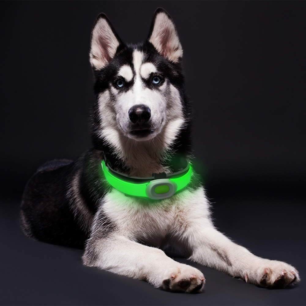 LED světlo na obojek Petsaber Maxi