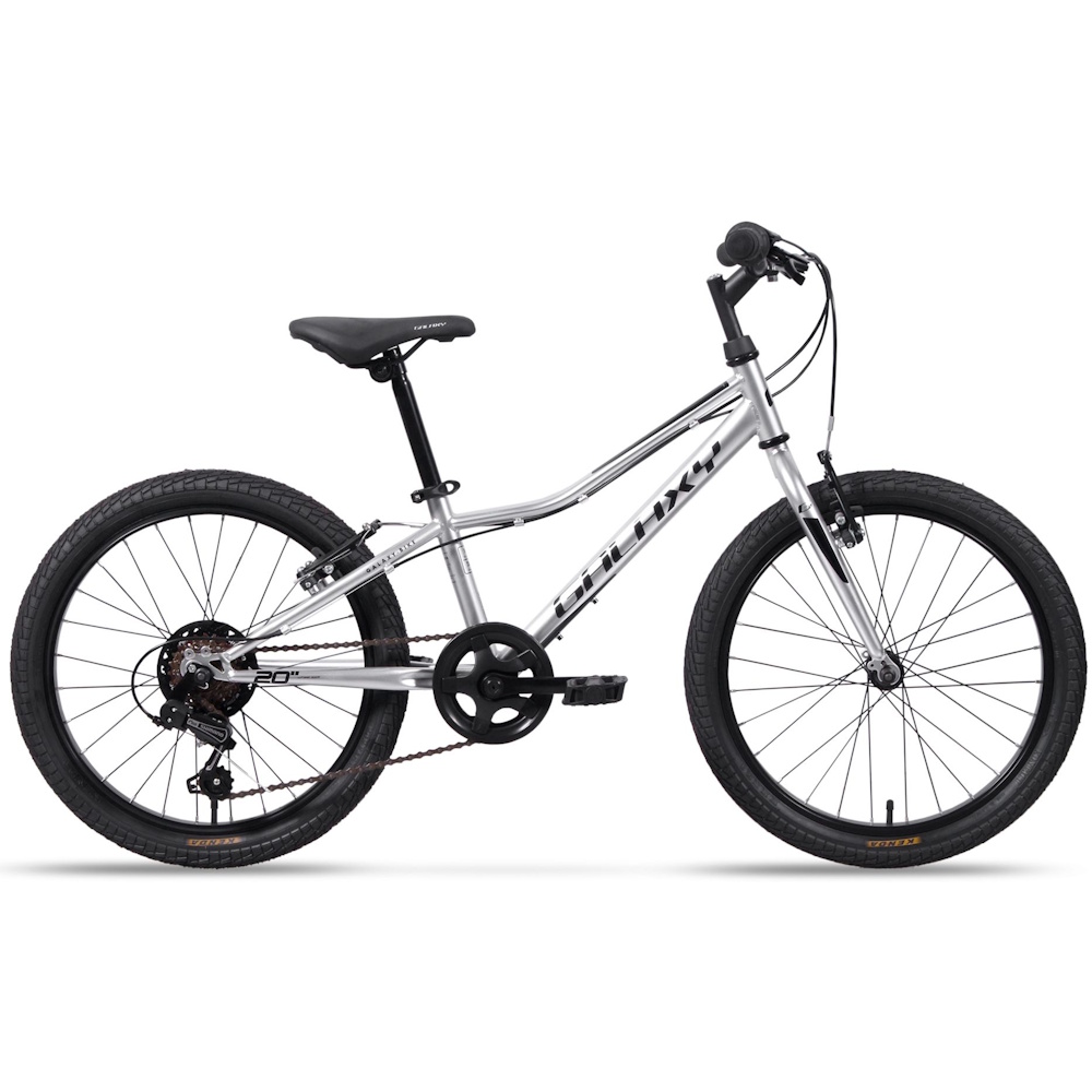 Dětské kolo Galaxy Neptun 20" - model 2025  stříbrná  10" (113-135 cm)