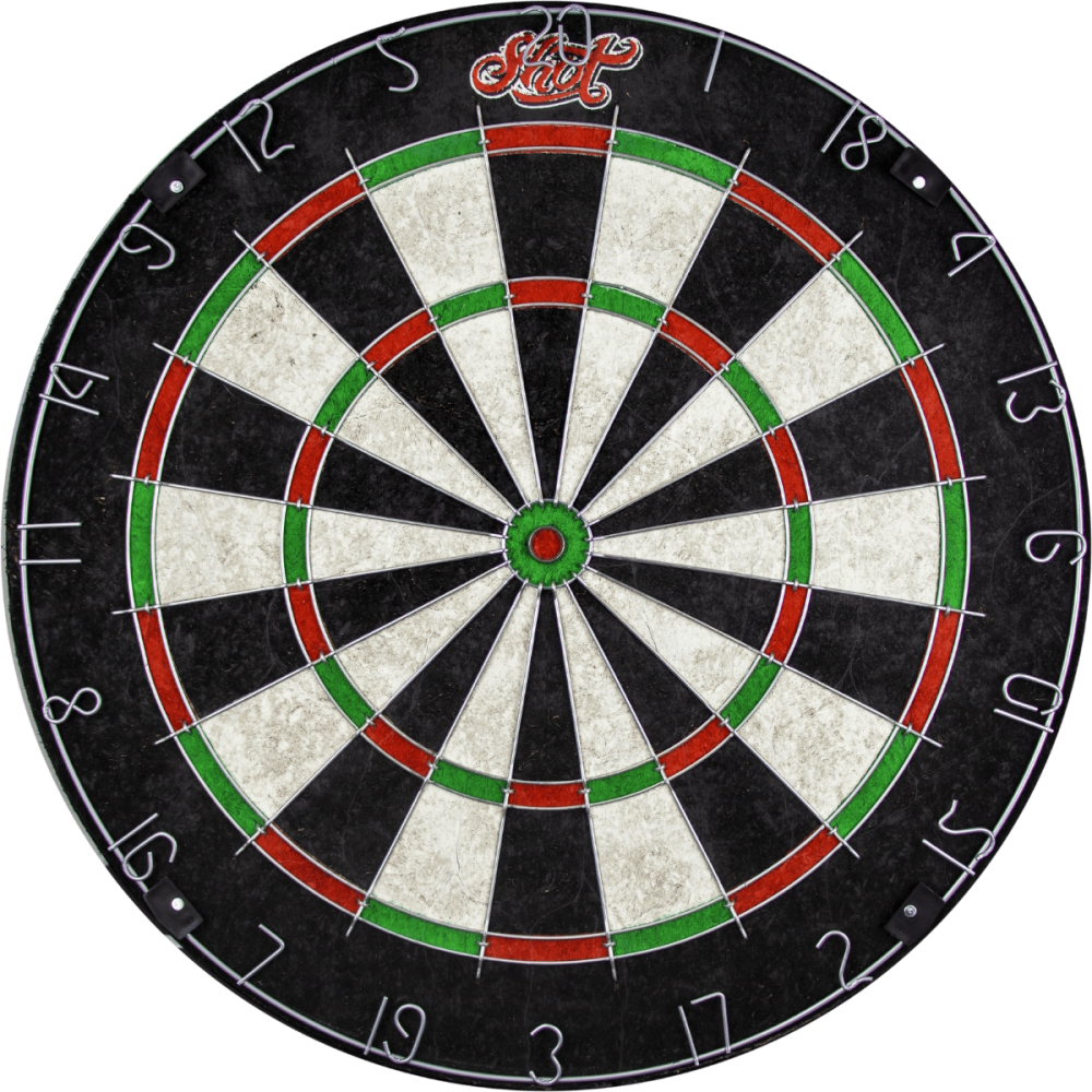 Terč Shot Bristle Dartboard