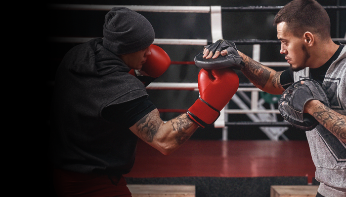 Punching Pads and Mitts inSPORTline