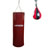 Bestsellers punching Bags inSPORTline (by Ring Sport)