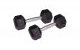 inSPORTline Hex Dumbbell Set