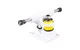 Bestseller pennyboard Fahrgestelle