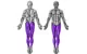Bestseller bein-Training