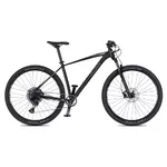 Horské kolo 4EVER Horizzont 29'' - model 2025