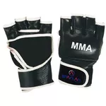 Vybavení na box Spartan MMA Handschuh