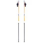 Hůl pro nordic walking inSPORTline Potosi