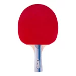 Stôl na pingpong inSPORTline Ratai S2