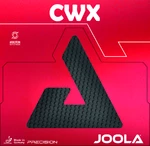 Asztalitenisz kiegészítő Joola CWX védőszemcse