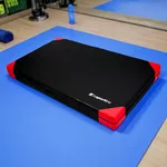 Gymnastická žíněnka inSPORTline Agskal T25 200x120x20 cm - černá