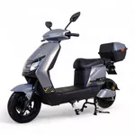 Elektrický skútr W-TEC Raike 10" - černo-stříbrná