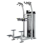 вeлoсипеди Steelflex Hope HCD2100 Chin/Dip